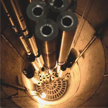 Mutated Planetary Screw